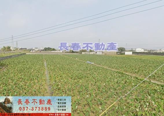 8F561龍騰休閒地B