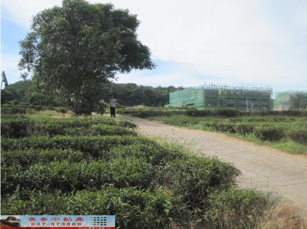 苗栗苗栗市農地-2