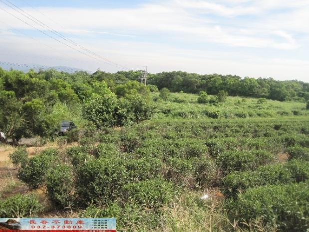 苗栗苗栗市農地-4