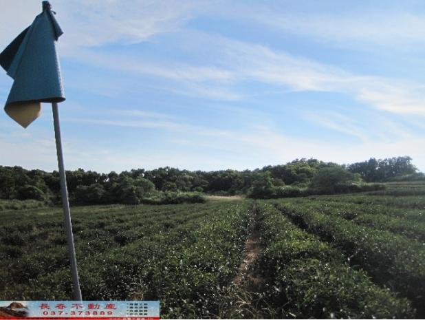 苗栗苗栗市農地-1