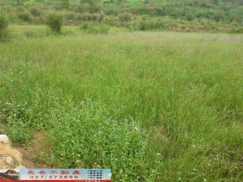 銅鑼休閒地買賣銅鑼土地買賣