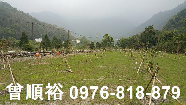 新竹尖石農地-9