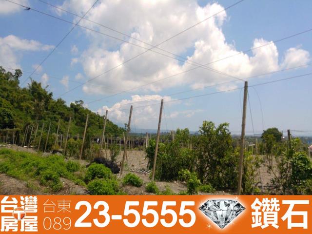 台東農地-8