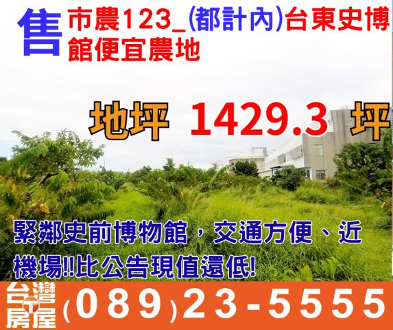 台東台東市農地-0