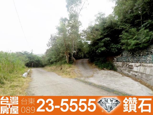 台東卑南農地-9