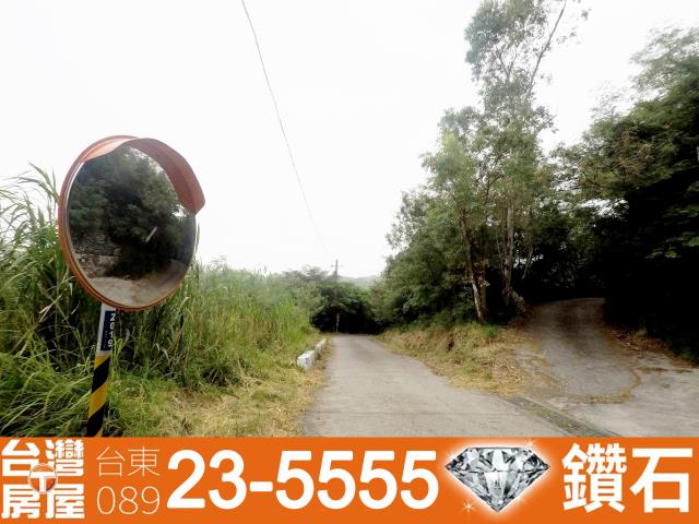 台東卑南農地-10