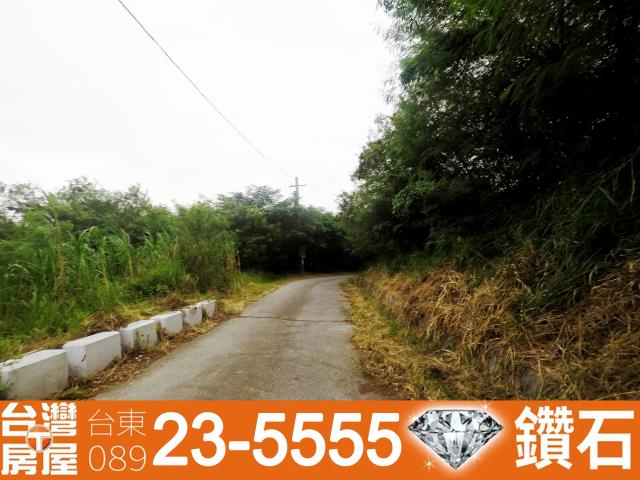 台東卑南農地-5