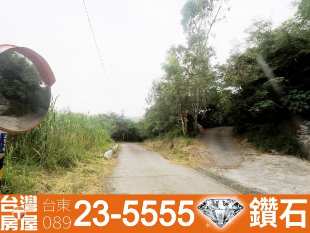 台東卑南農地-8