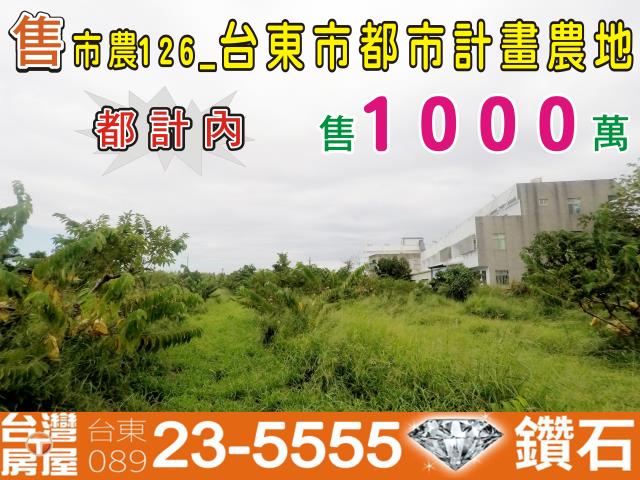 台東台東市農地-0