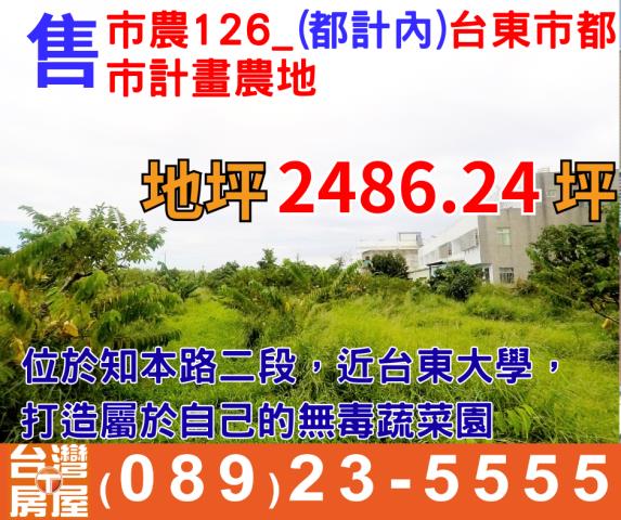 台東台東市農地-1