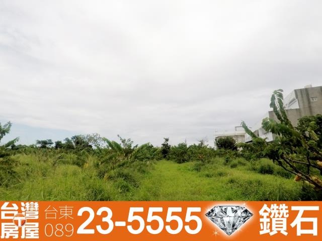 台東台東市農地-2