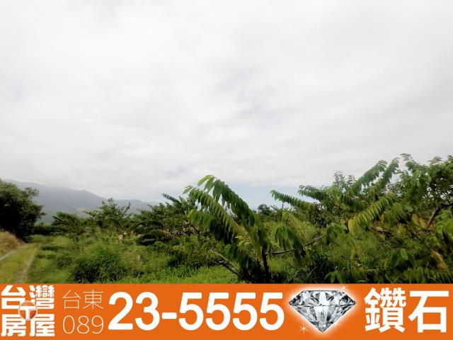 台東台東市農地-6