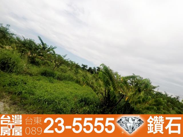 台東台東市農地-8