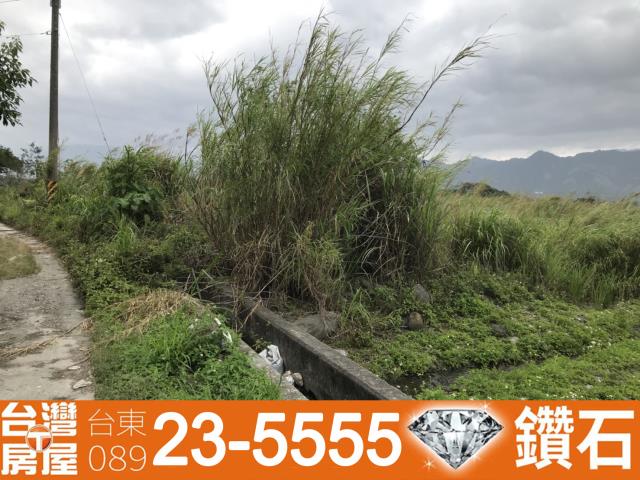 台東房地產買賣