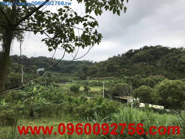 土地建地農地林地休閒地交通用地