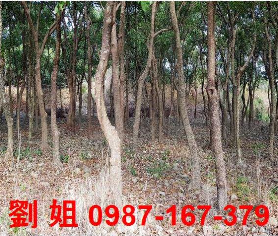 高雄農地-2