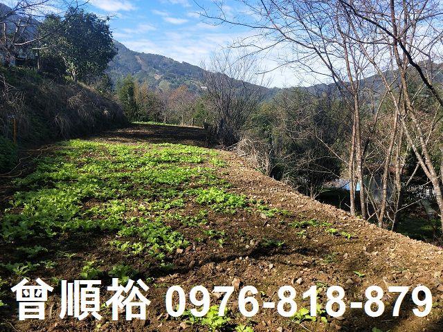 新竹農地-4