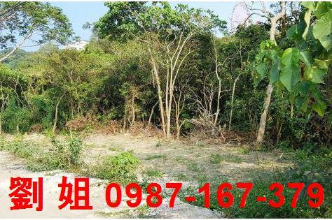 高雄仁武農地-0