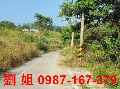 高雄仁武農地-1