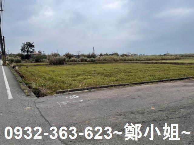 桃園新屋農地-11