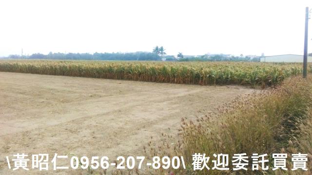 西港農地-0