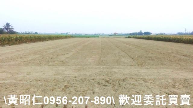 西港農地-2