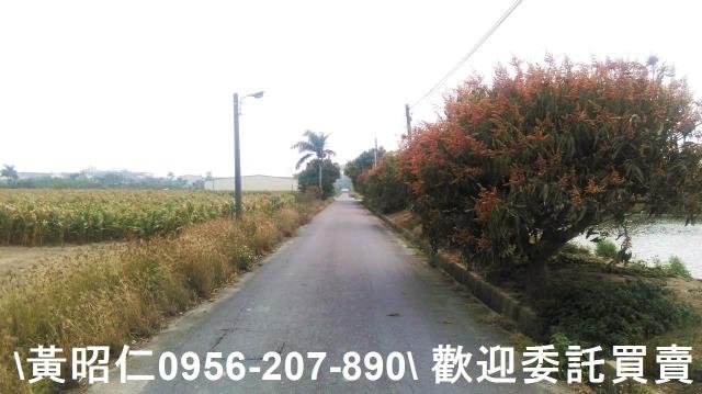 西港農地-5