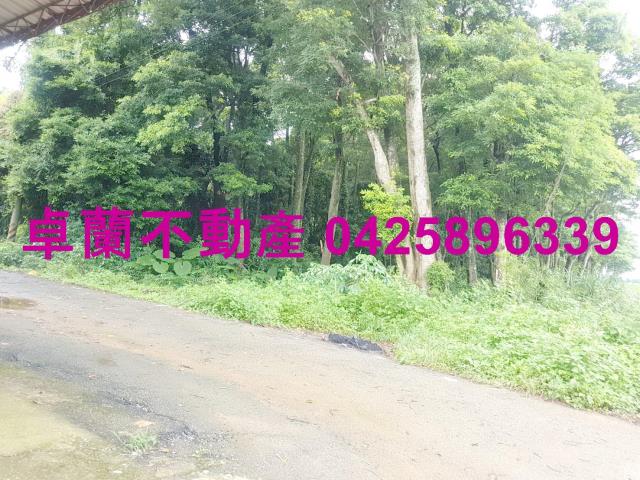 苗栗卓蘭農地-1