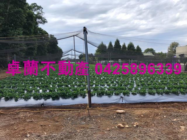 苗栗卓蘭農地-5