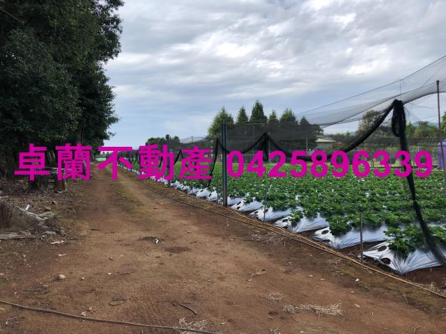 苗栗卓蘭農地-6