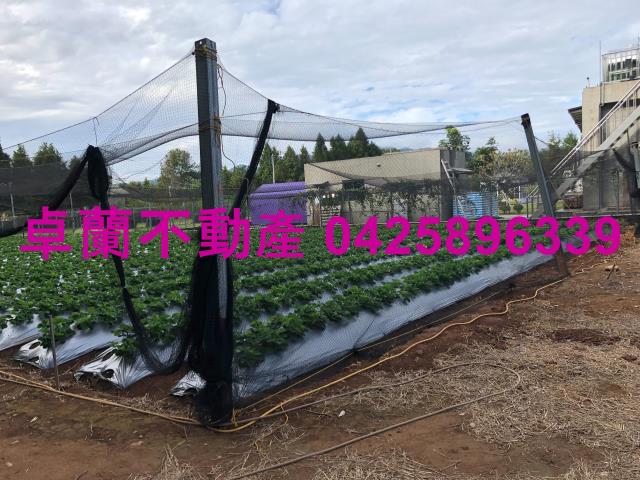 苗栗卓蘭農地-7