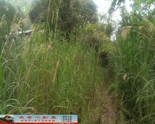 苗栗獅潭農地-1