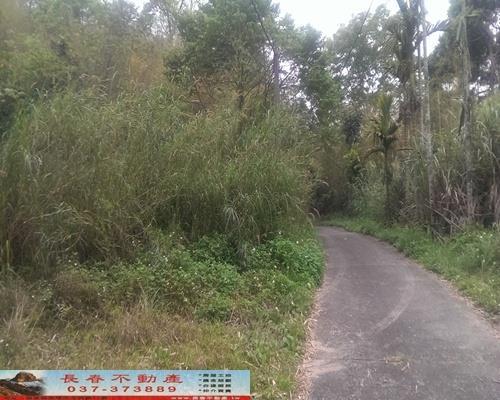 苗栗獅潭農地-6