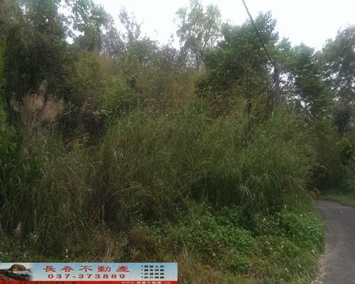 苗栗獅潭農地-7