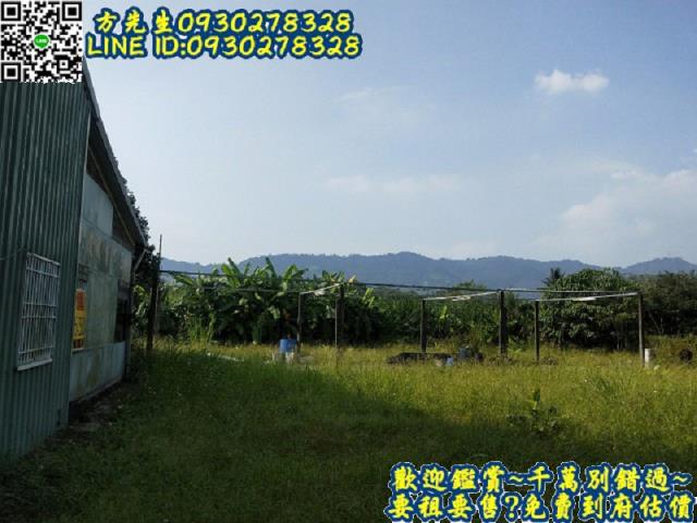 楠西農地-8