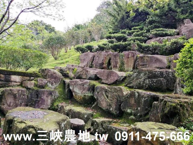 新北三峽農地-10