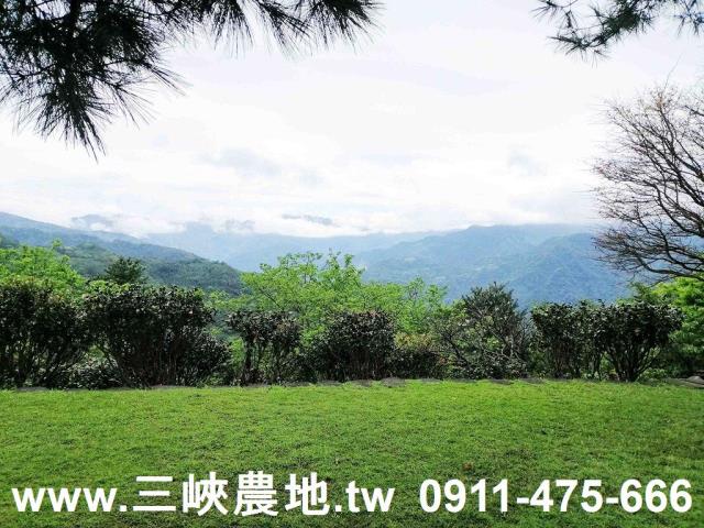 新北三峽農地-12