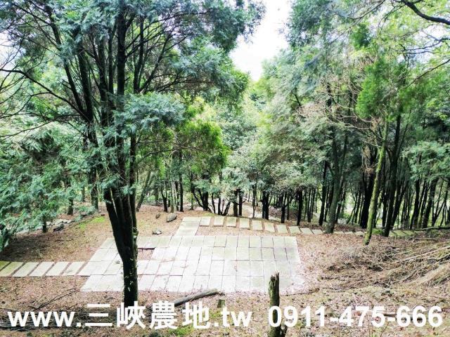 新北三峽農地-14