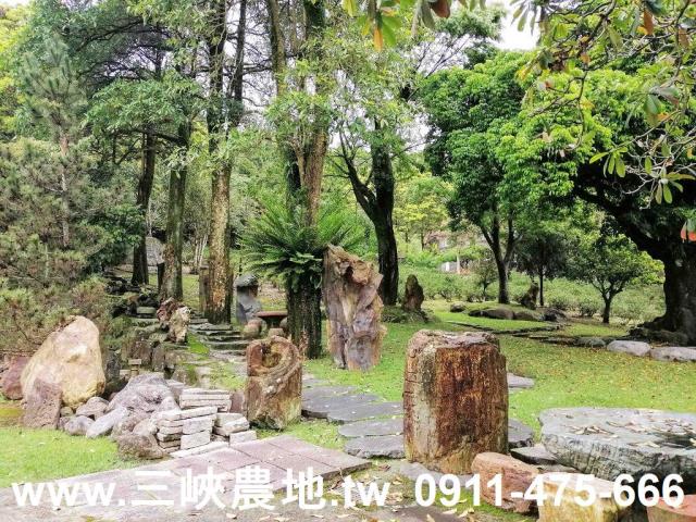 新北三峽農地-3