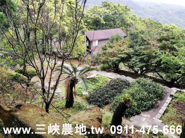 新北三峽農地-4