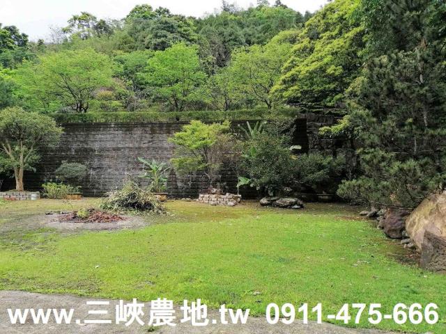 新北三峽農地-5