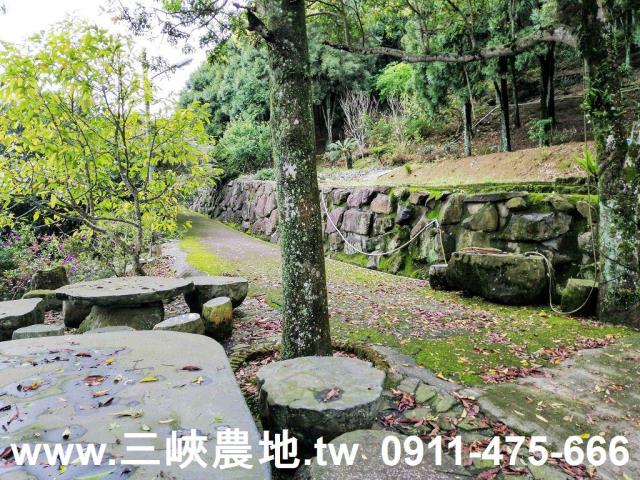 新北三峽農地-6