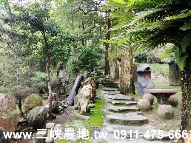 新北三峽農地-8