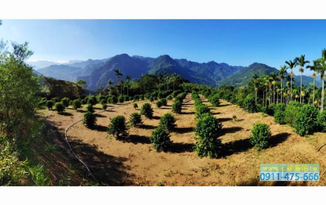 新北三峽農地-0