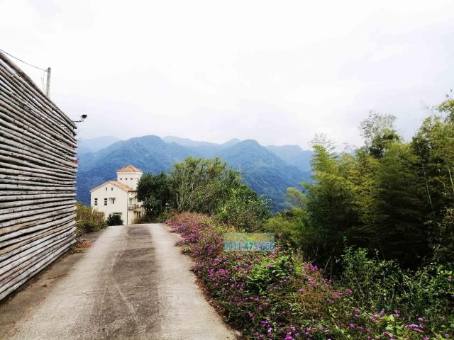 新北三峽農地-1