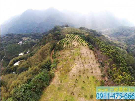 新北三峽農地-3