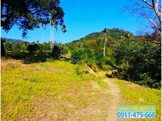 新北三峽農地-8