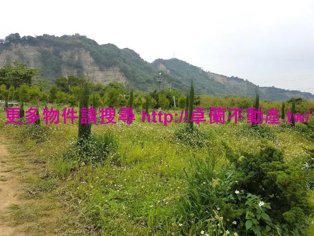 苗栗卓蘭農地-6