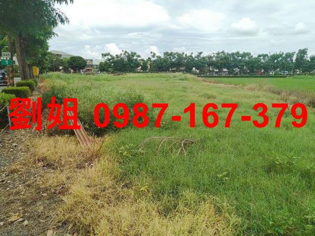 高雄大寮農地-0