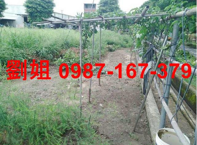 高雄大寮農地-1